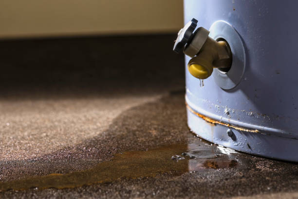 Best Basement water damage restoration  in Contra Costa Centre, CA