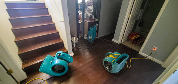 Best Professional water damage repair  in Contra Costa Centre, CA