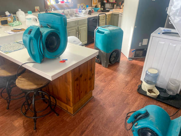 Best Water damage repair service  in Contra Costa Centre, CA
