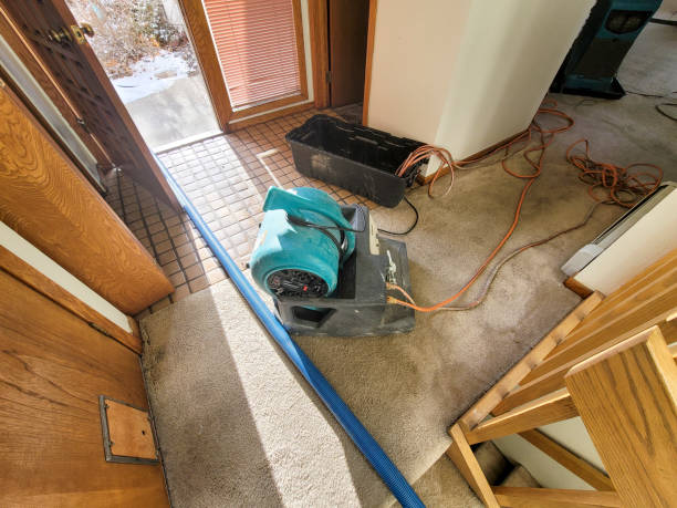 Best Mold removal after water damage  in Contra Costa Centre, CA