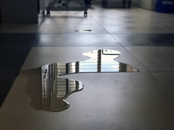 Best 24-hour water damage restoration  in Contra Costa Centre, CA