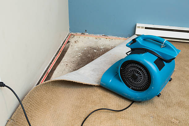 Best Flood damage cleanup  in Contra Costa Centre, CA